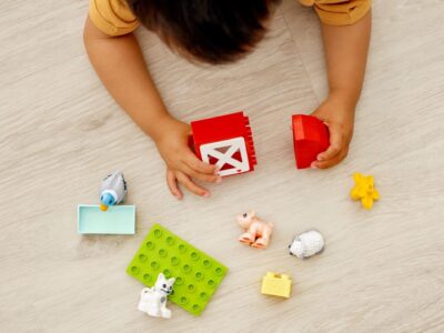 LEGO DUPLO - Ingrijirea animalelor de la ferma 10949, 11 piese