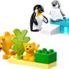 LEGO® DUPLO 10442 - Familii de animale salbatice: Pinguini si lei