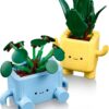 LEGO® Botanicals 10349 - Plante fericite
