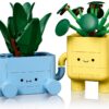 LEGO® Botanicals 10349 - Plante fericite
