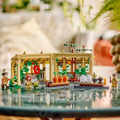 LEGO® Harry Potter™ 76445 - Castelul Hogwarts™: Lectia de ierbologie