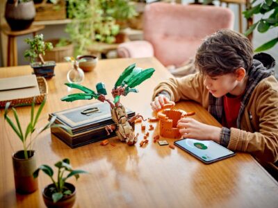 LEGO® Harry Potter™ 76433 - Matraguna