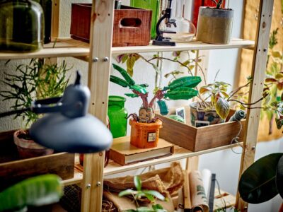 LEGO® Harry Potter™ 76433 - Matraguna