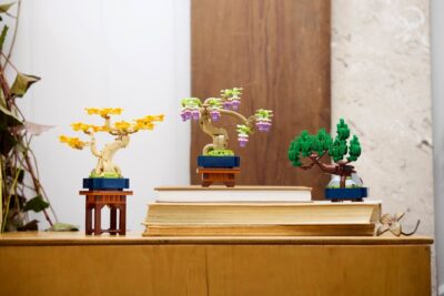 Lego Seasonal 10373 - Arbori bonsai
