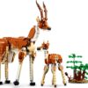 LEGO® Creator - Animale salbatice din safari (3:1)