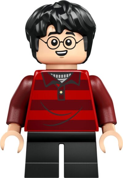 Lego Harry Potter 76437 - Vizuina (Editie de colectie)
