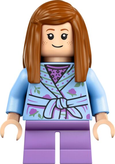 Lego Harry Potter 76437 - Vizuina (Editie de colectie)