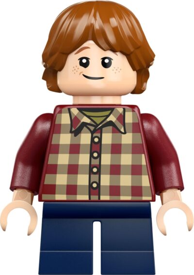 Lego Harry Potter 76437 - Vizuina (Editie de colectie)