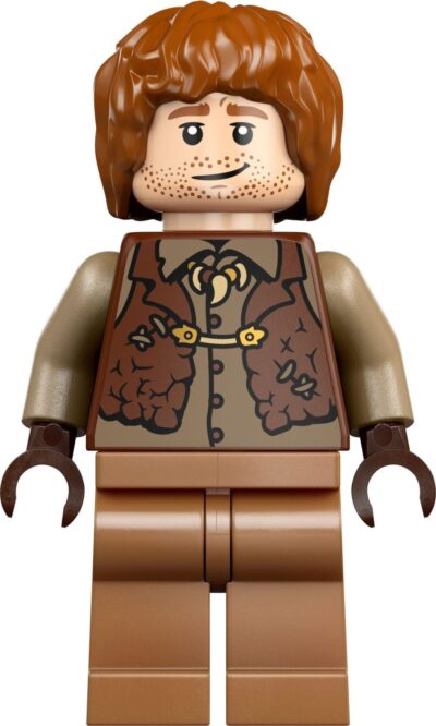 Lego Harry Potter 76437 - Vizuina (Editie de colectie)