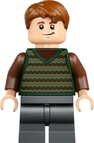 Lego Harry Potter 76437 - Vizuina (Editie de colectie)