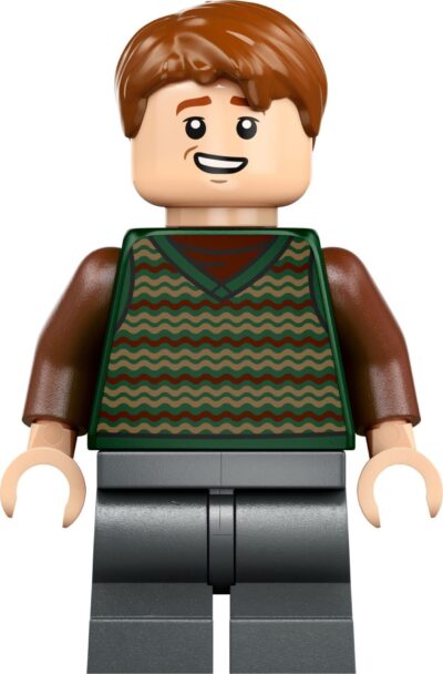 Lego Harry Potter 76437 - Vizuina (Editie de colectie)