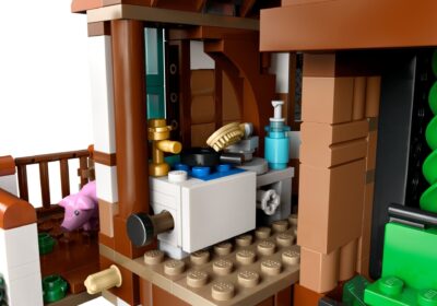 Lego Harry Potter 76437 - Vizuina (Editie de colectie)