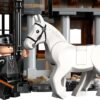 Lego Harry Potter 76457 - Satul Hogsmeade