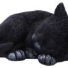 Statueta Nemesis Now Adult: Gothic U7086B25 - Feline Dream