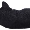 Statueta Nemesis Now Adult: Gothic U7086B25 - Feline Dream