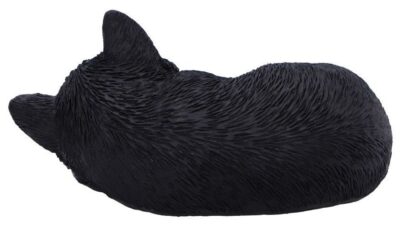 Statueta Nemesis Now Adult: Gothic U7086B25 - Feline Dream