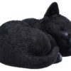 Statueta Nemesis Now Adult: Gothic U7086B25 - Feline Dream