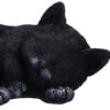 Statueta Nemesis Now Adult: Gothic U7086B25 - Feline Dream