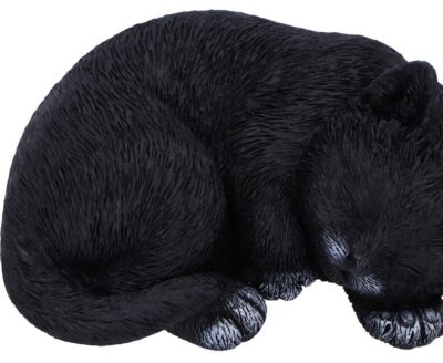 Statueta Nemesis Now Adult: Gothic U7086B25 - Feline Dream