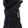 statueta-nemesis-now-adult--gothic---hex-and-flex--13-cm-33 Statueta Nemesis Now Adult: Gothic U7222C25 - Hex and Flex