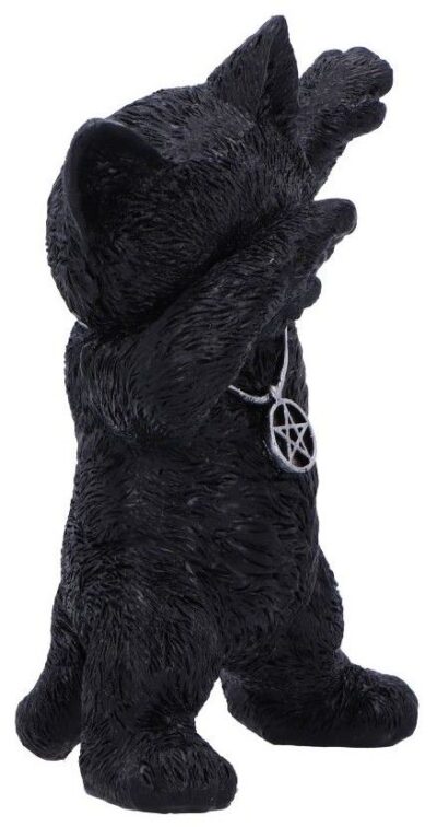 statueta-nemesis-now-adult--gothic---hex-and-flex--13-cm-33 Statueta Nemesis Now Adult: Gothic U7222C25 - Hex and Flex