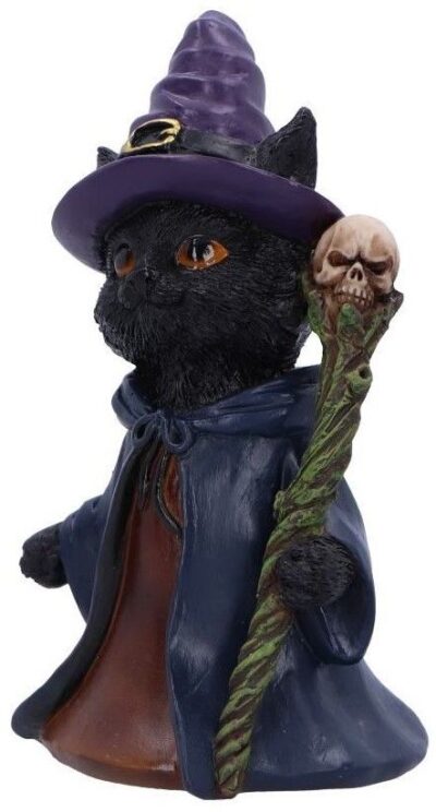 Statueta Nemesis Now Adult: Gothic U6738A24 - Whiskered Wizard