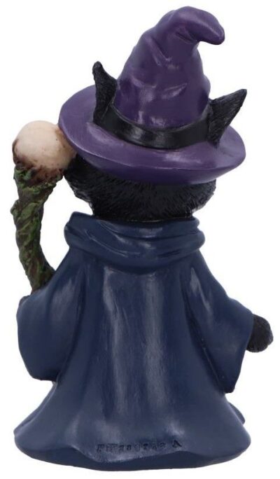 Statueta Nemesis Now Adult: Gothic U6738A24 - Whiskered Wizard