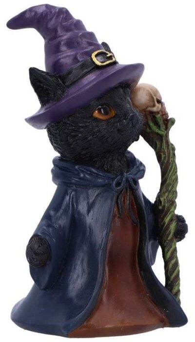 Statueta Nemesis Now Adult: Gothic U6738A24 - Whiskered Wizard