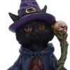Statueta Nemesis Now Adult: Gothic U6738A24 - Whiskered Wizard