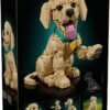 LEGO® Icons 11384 - Catelus Golden Retriever