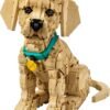 LEGO® Icons 11384 - Catelus Golden Retriever
